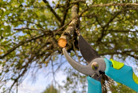 Entretien de jardin toutes saisons, nos astuces pour un espace toujours impeccable